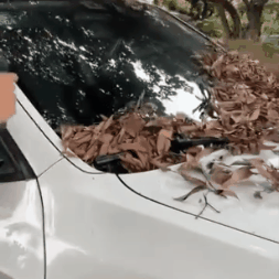 GaleForce™ Air Blower